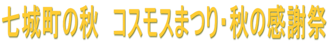 七城町の秋　コスモスまつり・秋の感謝祭
